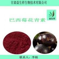 巴西莓花青素25%　 巴西莓提取物 　一公斤起訂