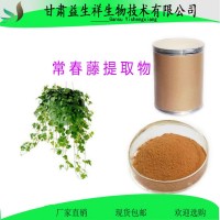 常春藤提取物   常春藤粉  一公斤起訂