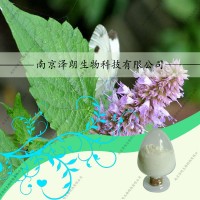 代加工藿香提取物壓片糖果，藿香粉