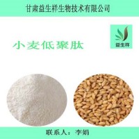小麥低聚肽   小麥低聚肽粉 含運費