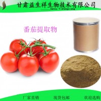番茄汁粉 甘肅益生祥