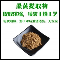 桑黃提取物 桑黃粉 水溶性好