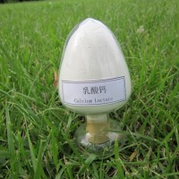 鄭州瑞普食品級低微生物乳酸鈣