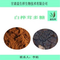 白樺茸多糖50% 白樺茸提取物        量大從優(yōu)