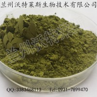 大麥若葉粉 大麥若濃縮液 大量庫存  批發價格