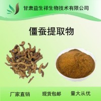 白僵蠶提取物 僵蠶提取物     一公斤起訂