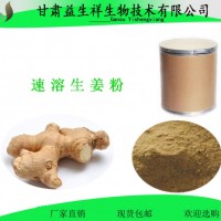 速溶生姜粉 姜辣素 生姜提取物 生姜固體飲料原料 甘肅益生祥