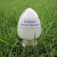 食品級葡萄糖酸鈣 原料 國標 價格 - 鄭州瑞普