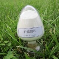 鄭州瑞普食品級低鉛砷檸檬酸鋅