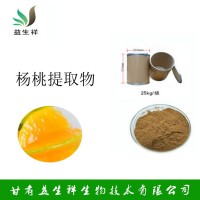 楊桃提取物 楊桃速溶粉 楊桃濃縮汁 1公斤起訂