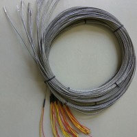濕熱探頭、干熱探頭、kaye驗證探頭