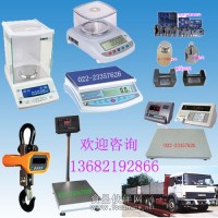 天津市電子秤