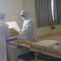 方便面微波烘干殺菌機  方便面微波烘干殺菌機廠家