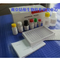 金黃色葡萄球菌核酸快速檢測試劑盒