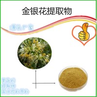 金銀花粉全水溶 濃縮提取 現貨供應 金銀花綠原酸