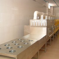 黃粉蟲微波干燥機  黃粉蟲微波干燥機廠家 黃粉蟲干燥機價格