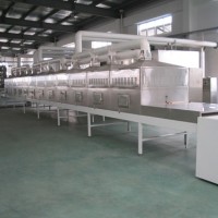 粽子微波殺菌機  粽子微波殺菌機廠家 粽子微波殺菌機價格