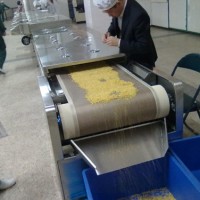 果仁微波殺菌機  果仁微波殺菌機廠家 果仁微波殺菌機價格