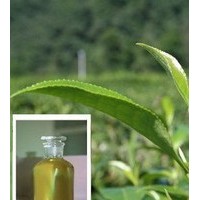 天然薄荷油 薄荷油價格 薄荷油生產廠家