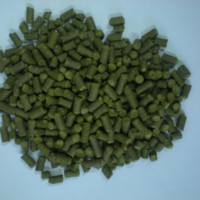 供應面包改良劑啤酒花