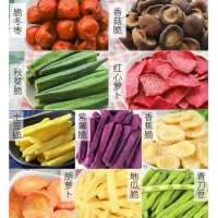 果蔬脆片食品凍干機 真空冷凍干燥機