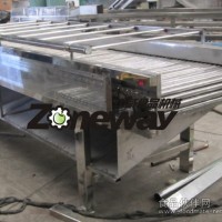 GSJ型小番茄圣女果刷皮機