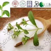 甜菊糖（57817-89-7）-- 40~97%萊鮑迪甙A(Reb-A)（91722-21-3）