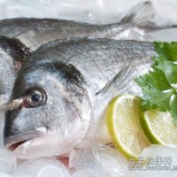 供應魚類保鮮劑