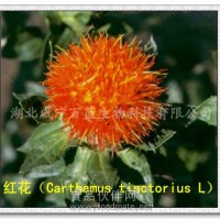耐酸耐光——紅花黃色素