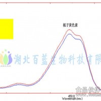 90％出口日韓——梔子黃色素