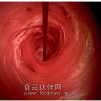 食用天然色素紫蘇色素-天康源