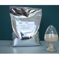 食品級乳糖酶 乳糖酶生產廠家  乳糖酶廠家 美國原包裝