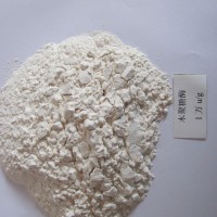 供應木聚糖酶