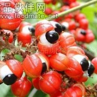 巴西原裝進口瓜拉納提物；咖啡因含量10%或22%