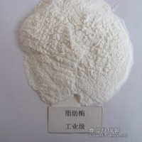 供應脂肪酶