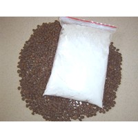 供應他拉膠 他拉膠生產廠家