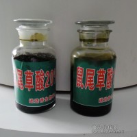銷售迷迭香提取物