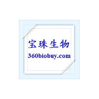 pECFP-C1熒光蛋白報告載體