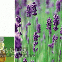 薰衣草油【康華】您的選擇