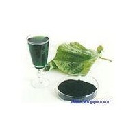 明合供應(yīng)批發(fā)零高質(zhì)量 食品級 葉綠素銅鈉