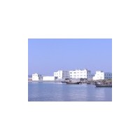 廠家供應出口各種天然海產品誠招合作商