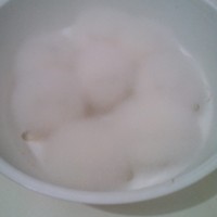 誠招各級代理：毛霉（腐乳型）曲種招商