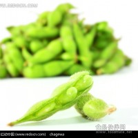 冷凍蔬菜代理商