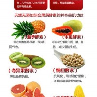 酵素與營養吸收臺灣藍帽牛樟芝子實體（非酵素類）酵素貼牌OEM