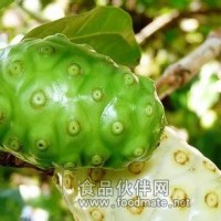 諾麗果諾麗果汁粉公司_諾麗果汁粉