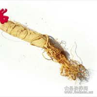 幸福的抉擇-東北土特產叢名菌業期待您的加入