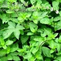 薄荷醇cas：15356-70-4