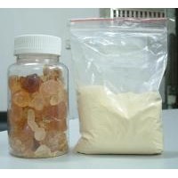 阿拉伯膠