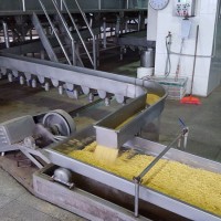 豆腐皮機(jī) 豆腐機(jī)全國(guó)招商