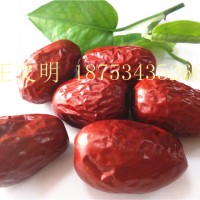 散貨和田玉棗新疆大棗廠家 招商代理